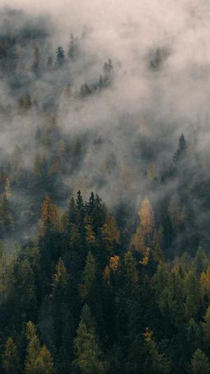 麻豆传煤官网APP免费入口截图4