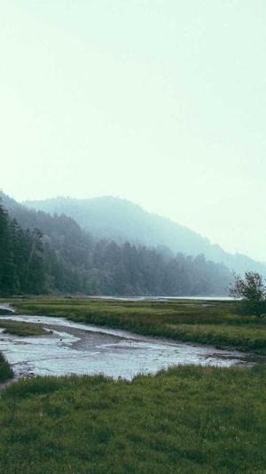 九命怪猫快播截图2